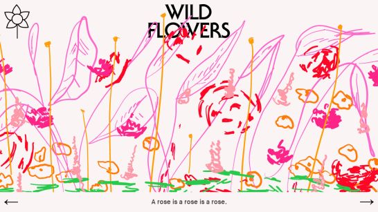 wild-flowers